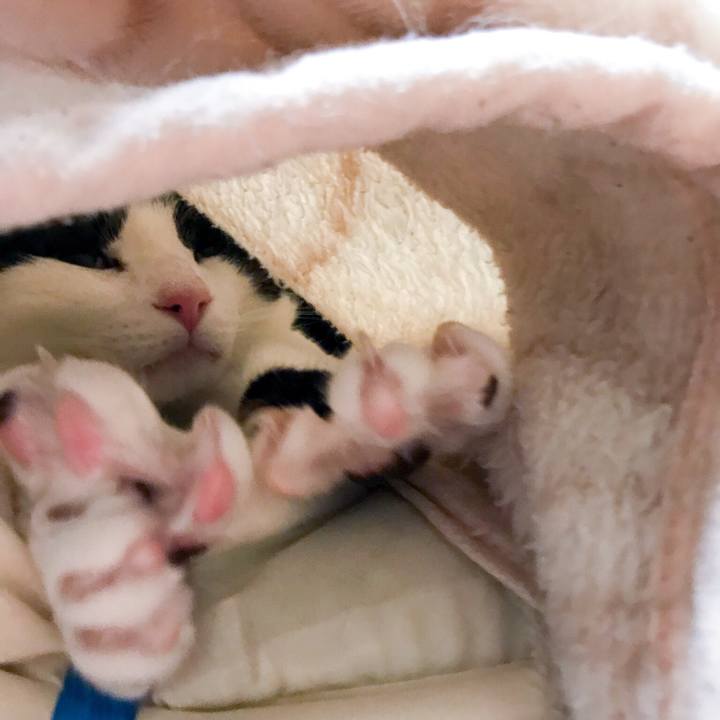 2ef85894 4ea1 4d54 8857 55d0678d1231 1525615979321