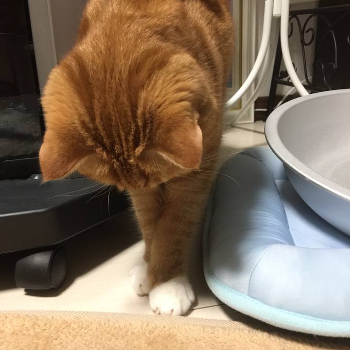 2ef89252 9d78 4cbe 86a6 81dd471c25f6 1568558222605