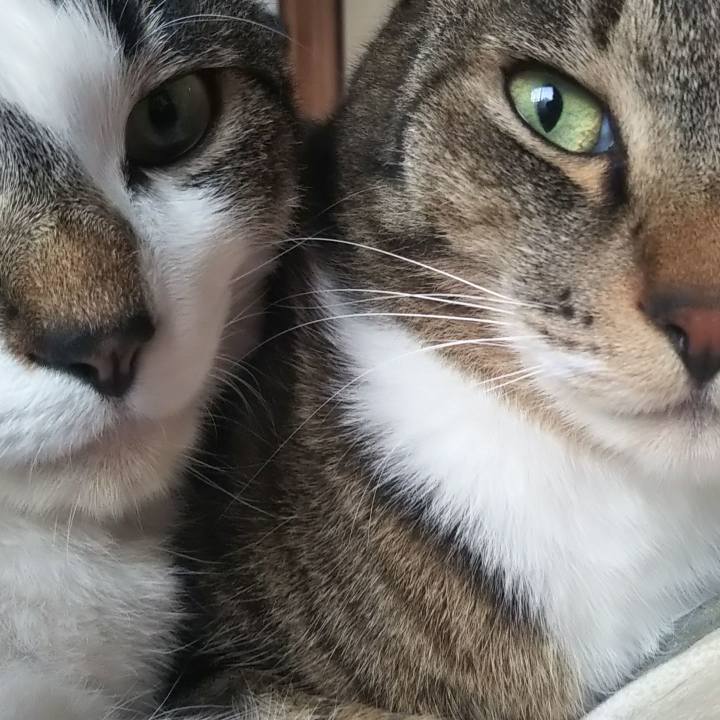 2ef89cc8 3cf0 44bc a6fa 29d2159bcad0 1629082074122