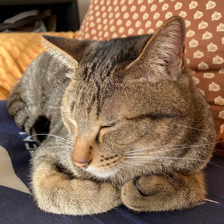 2ef89d50 b9fa 40e2 b988 27621cf19267 1766615467834