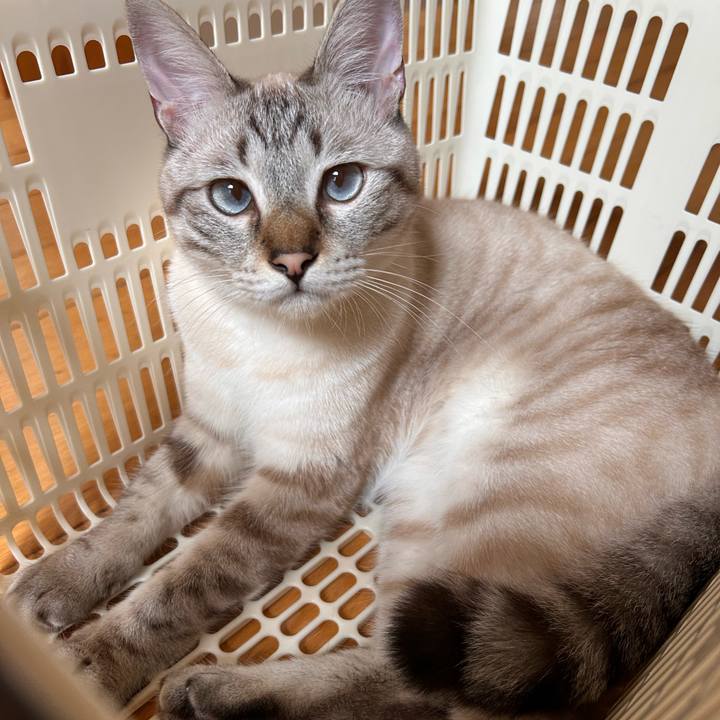 2ef8b7fc d9e9 4f49 bc75 ac7e2e8a349b 1755563427755