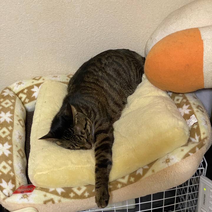 2ef8b9cd 4997 42cb a877 5c124085f8e8 1588333820587