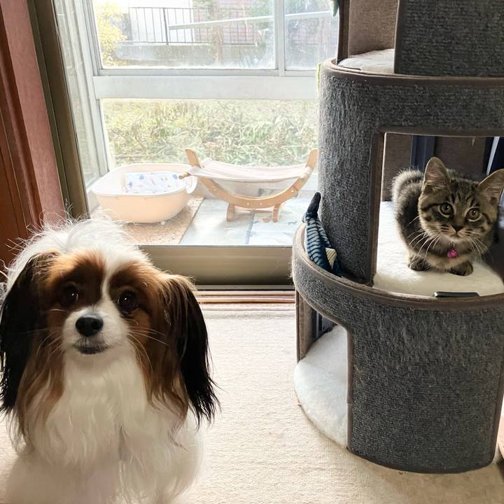 2ef8cc6c 2a7e 43ab 9125 deab278fb8c7 1699359587614