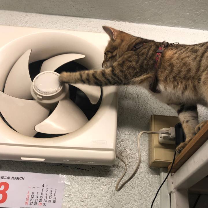 2ef8d807 f454 4423 812e 894430099bd4 1585280788606