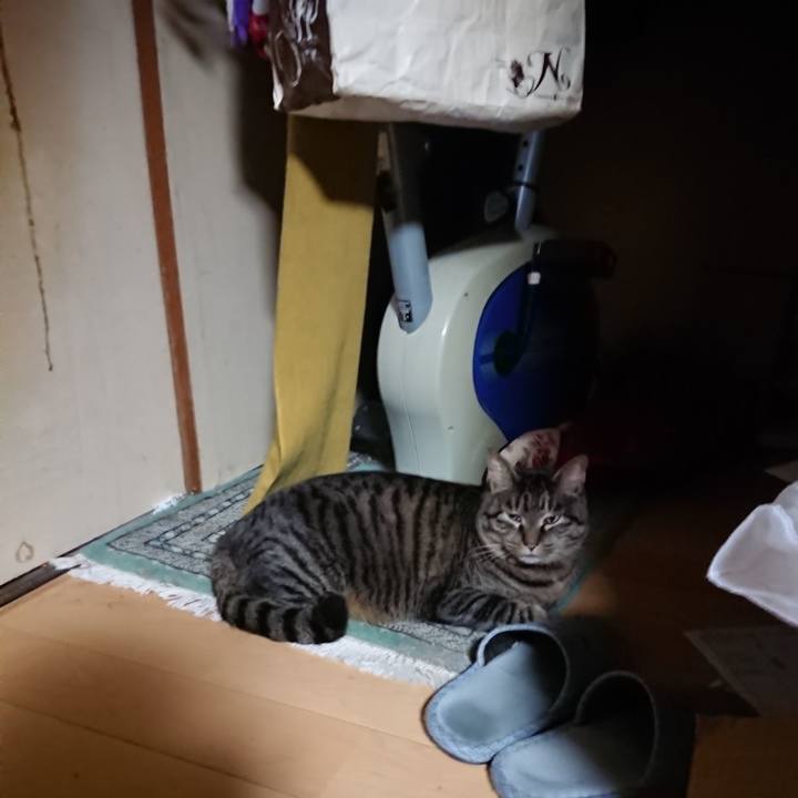 2ef8de27 9fda 40de b7b1 a3589a73c0a2 1643071433844