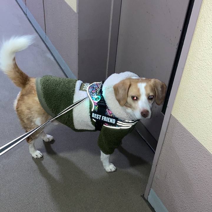 2ef8fc70 4c1d 44f9 9814 dbbad965a053 1674981997600