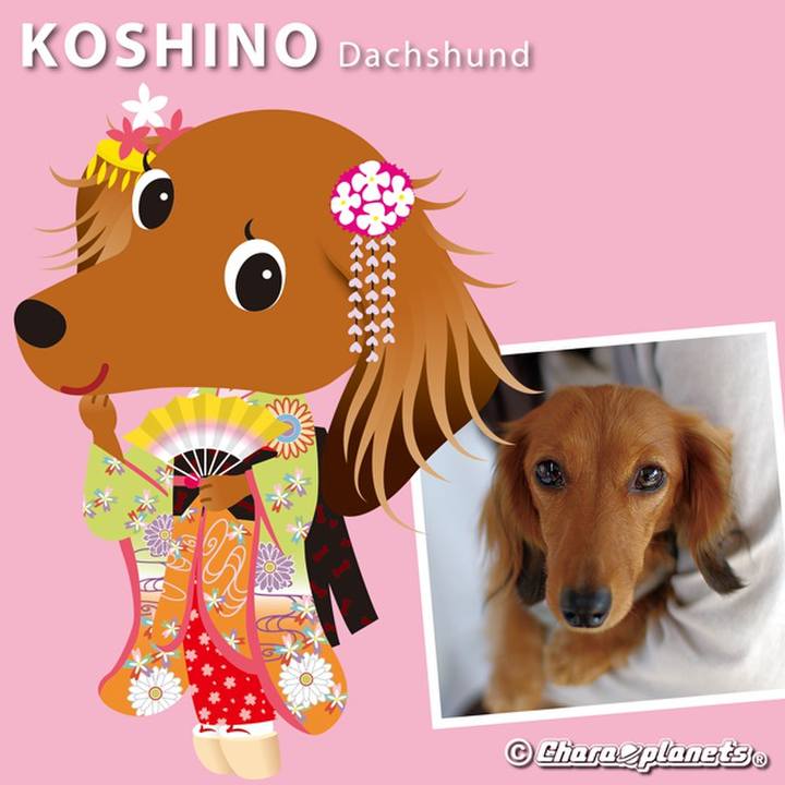 2ef908cd 4d0f 4150 a10a 4d5c0b799ca6 1564619315862