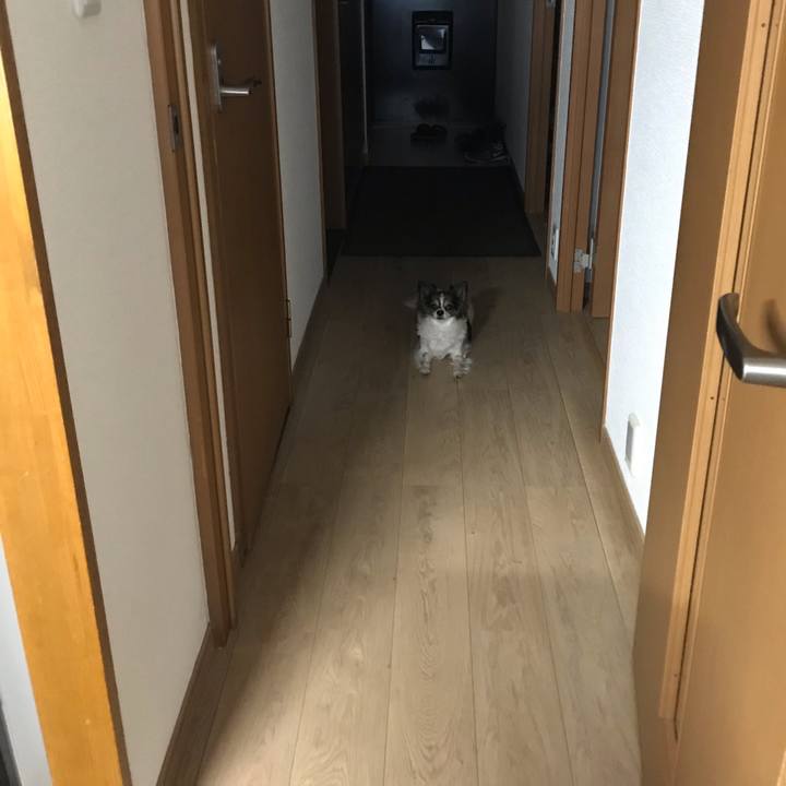 2ef92d08 6515 4656 b73e c7346a7be150 1564873436725