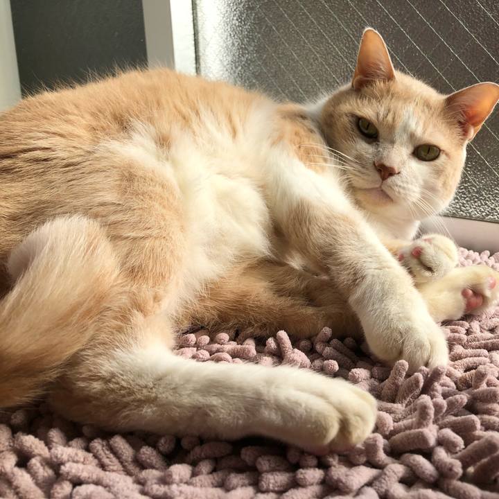 2ef94651 d967 4073 b15d 21c057d9e216 1541207970184