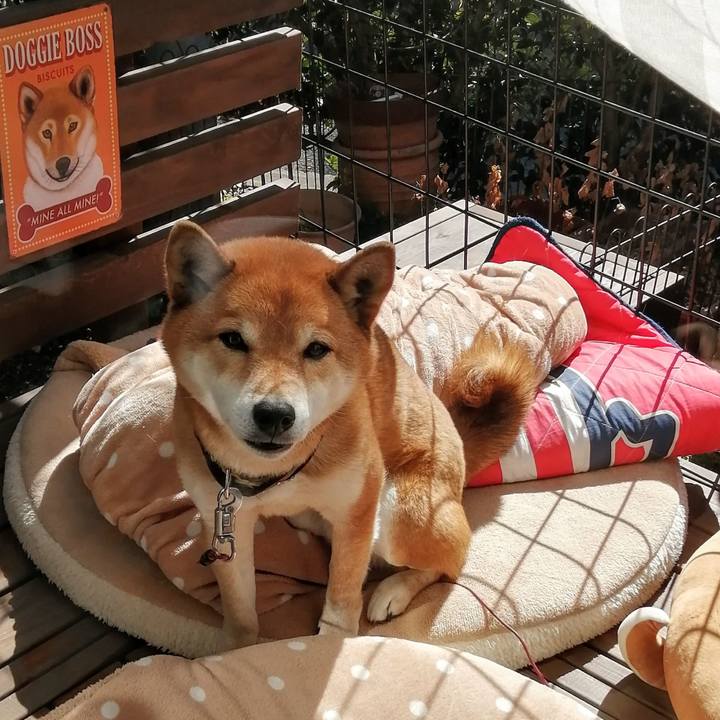 2ef96255 7299 48ac a4e1 c480e9eb7130 1614091490476