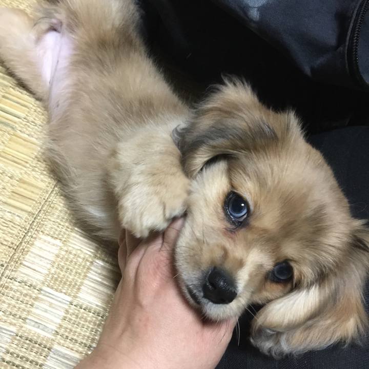 2ef986e9 2fc0 4454 8cb6 64ebd6bfdb34 1585656205839