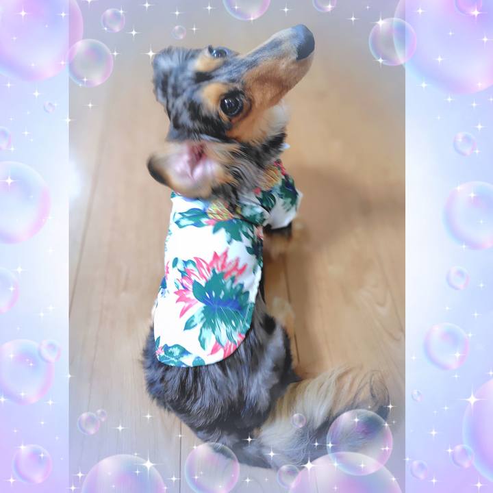 2ef9ea8b 37c4 4411 b4c3 0159ac3ceeec 1746919890620