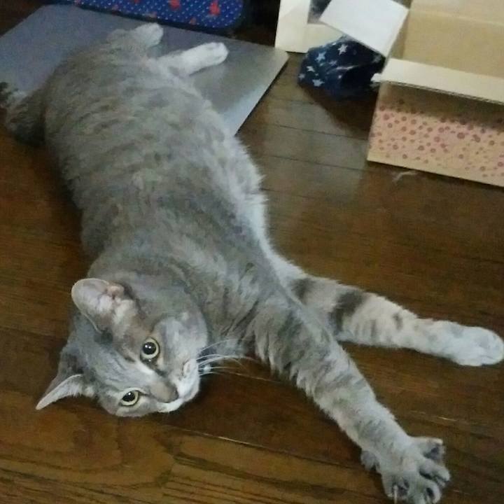 2efa1505 a006 4695 8fd8 840ab495c60b 1531218010127