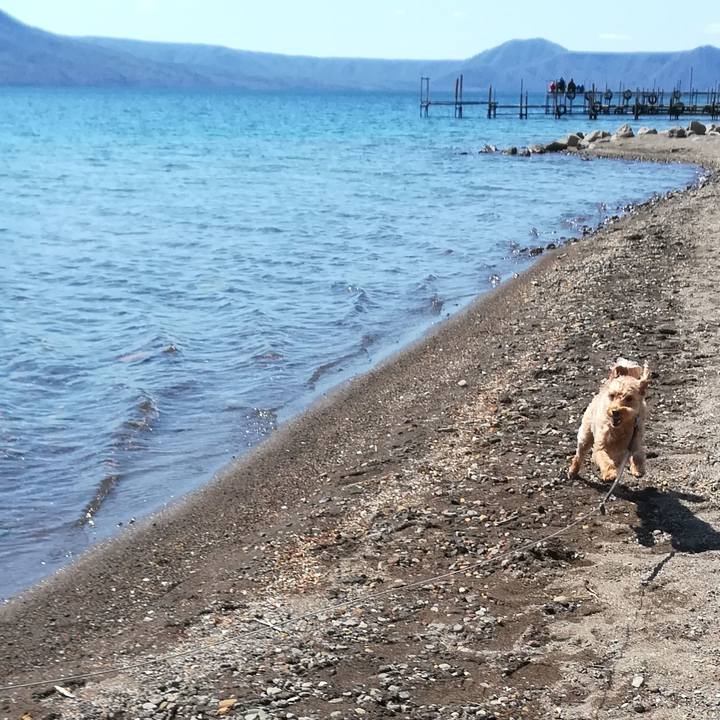 2efa7e8a 214c 4b2a accd cdf3d4386292 1557624508126