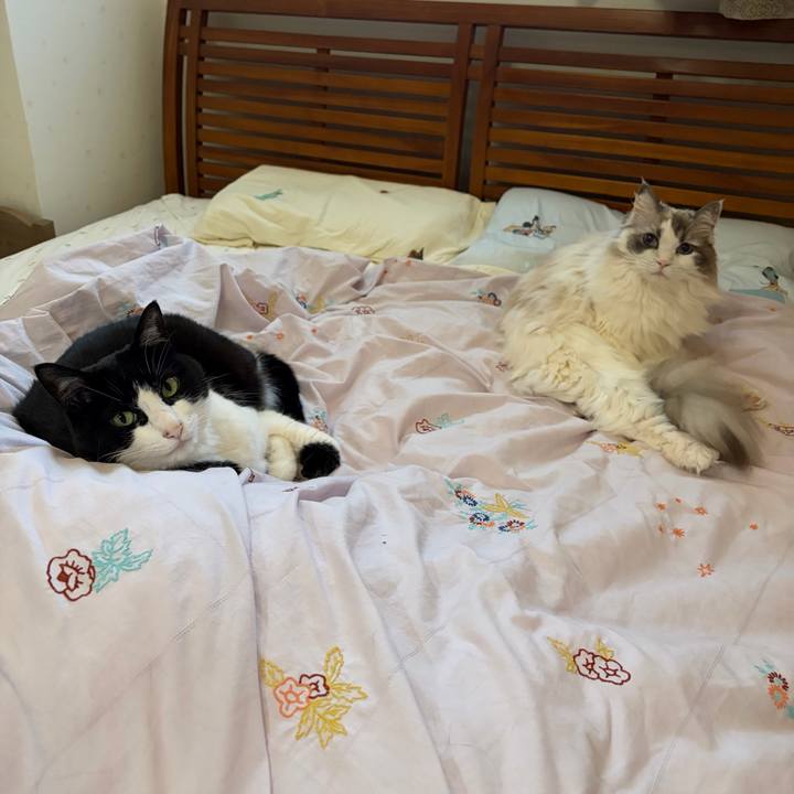 2efa9000 0eaa 46b4 b688 912d43ed6786 1775957391973