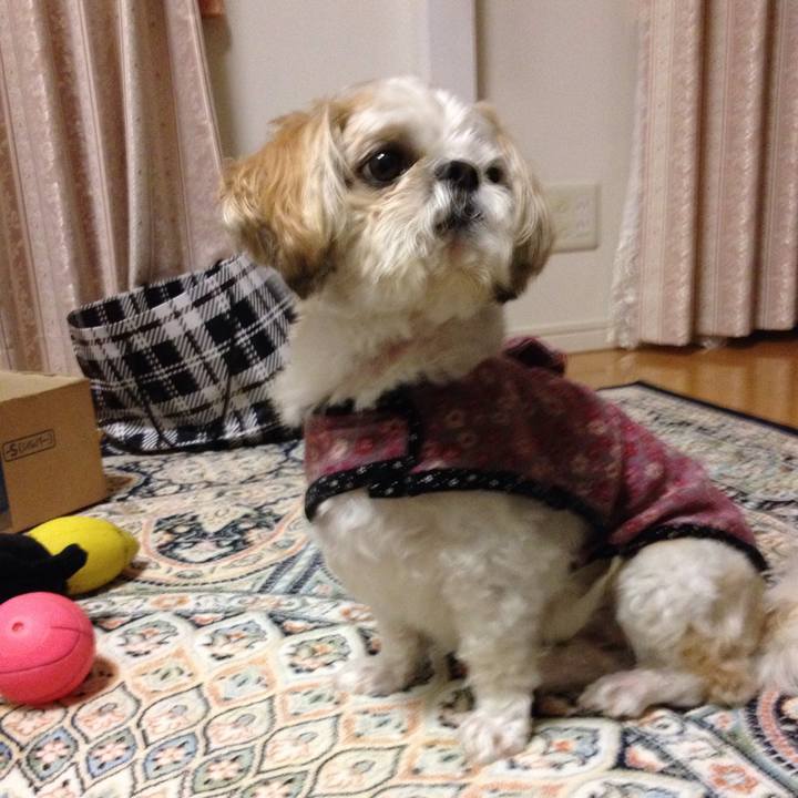 2efa94dc 4106 4934 a4d9 f3567454c7fc 1509572320910