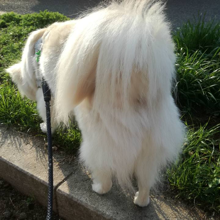 2efac3ad 42df 4fc7 869b ad1cc9e1ad19 1522021787346