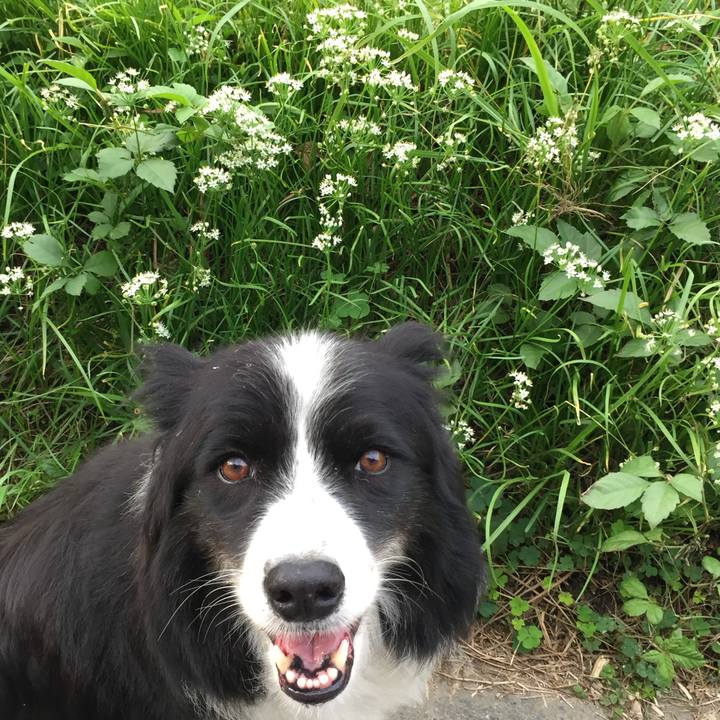 2efafa27 501e 4be9 84a9 58ffbfbc075f 1724158925885