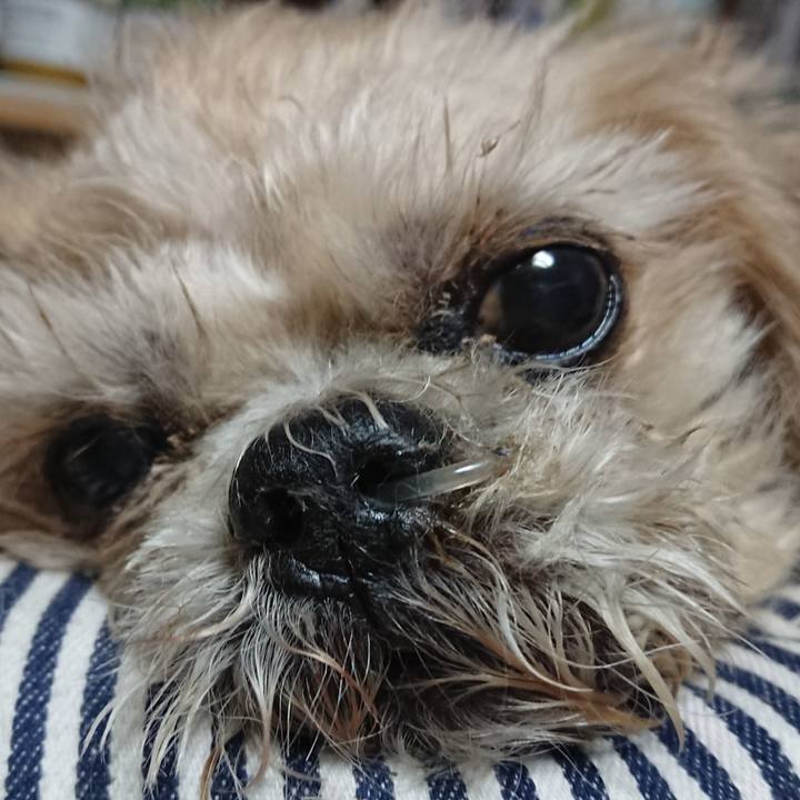 2efb4774 c695 4400 bd47 59dd3f3d2f92 1540295600100