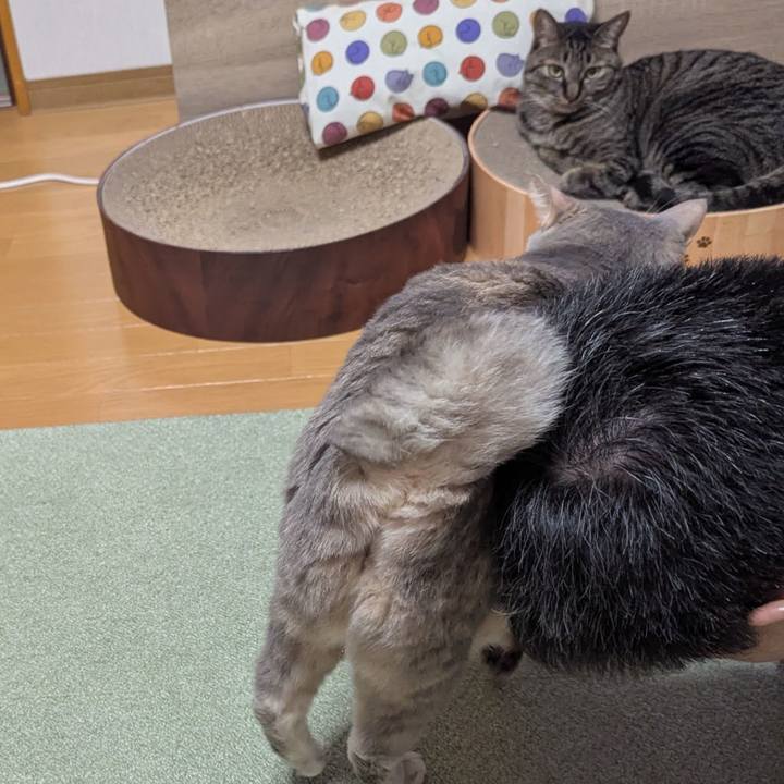 2efbd175 e570 4671 9bc8 73f3cc983d6d 1745044784737