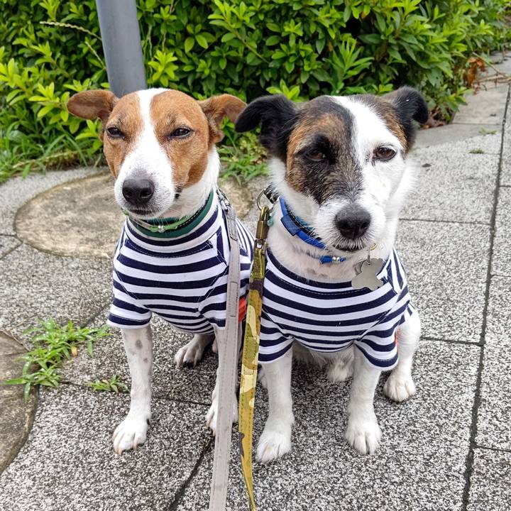 2efbe7ee 6897 4bd2 b43a 322488d05d44 1686611674328