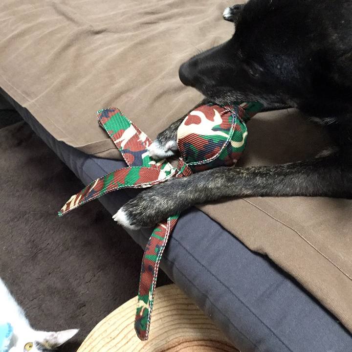 2efbeb97 f0c5 4187 b65a bd20453c60cc 1549670077251