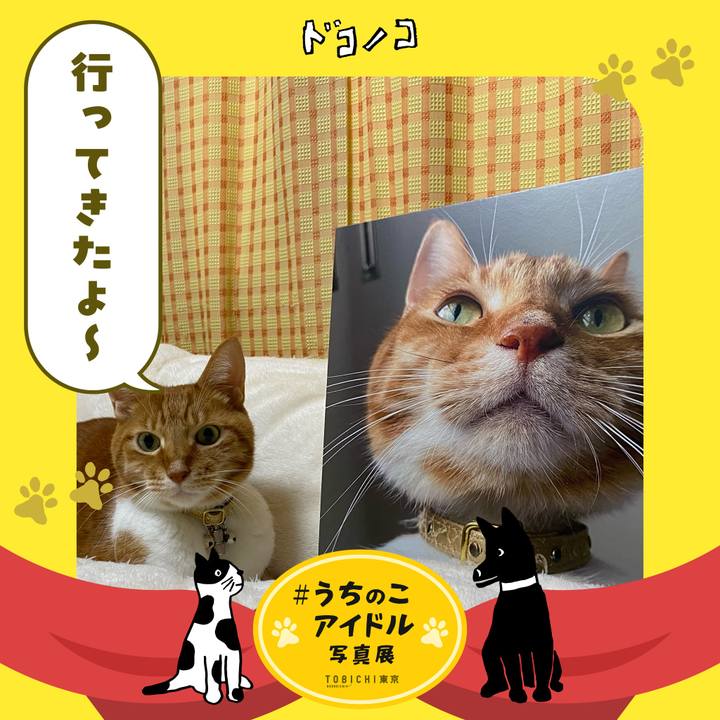 2efbf782 4aa0 40fd ae08 f1bfe71e108b 1761365403947