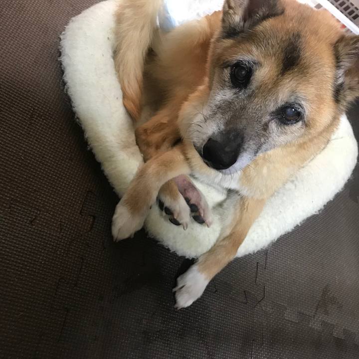 2efbf9fc e5bd 4d43 8abe 8dc1c01bc390 1562980888276