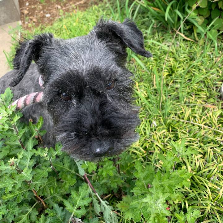 2efbfb75 90c8 49e4 8f35 0cc8980f4714 1619935047362