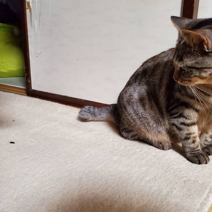 2efc0651 4354 4be5 b33c 15598d166760 1706629974291