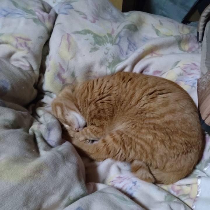 2efc1f0d 3858 4fdb a333 aa234dbdf92a 1676763025890