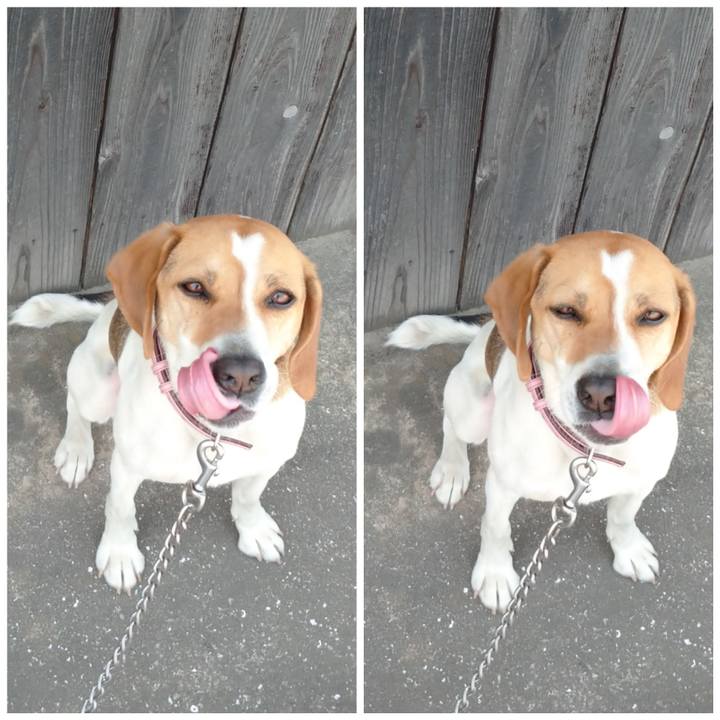 2efc3aac 3b02 4b27 bbac 4381c177a9ef 1589079046441