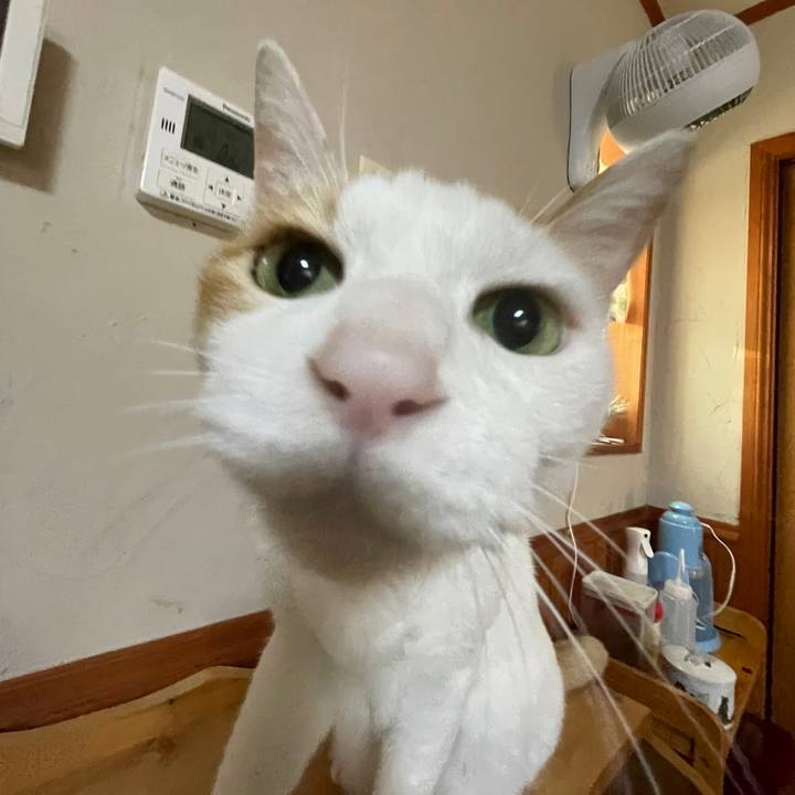 2efc3ccf 7bcc 4f70 9d39 cf43e69ab834 1658357258479