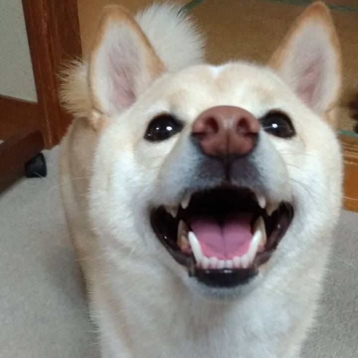 2efc4c1f 968f 4cf0 9e53 b589e9dfaf2a 1561111294750