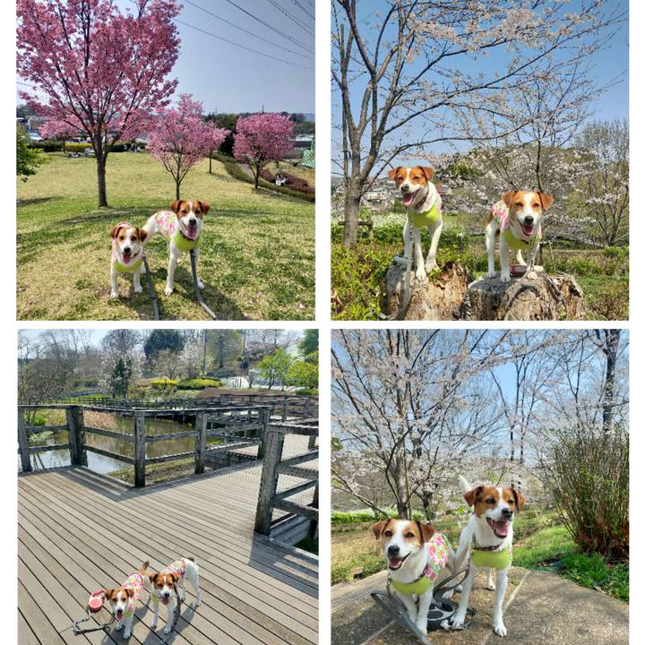 2efc4ebe 87f4 42de 8643 edd02c6a02dd 1774774056010