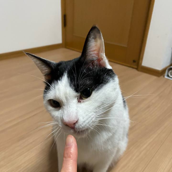 2efc96fb ea19 451b b73f b0b99d9b9f37 1581420420700