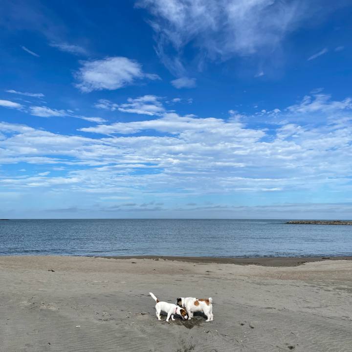 2efca0e8 172b 4f03 953f 30963a2ea9ba 1629330482074