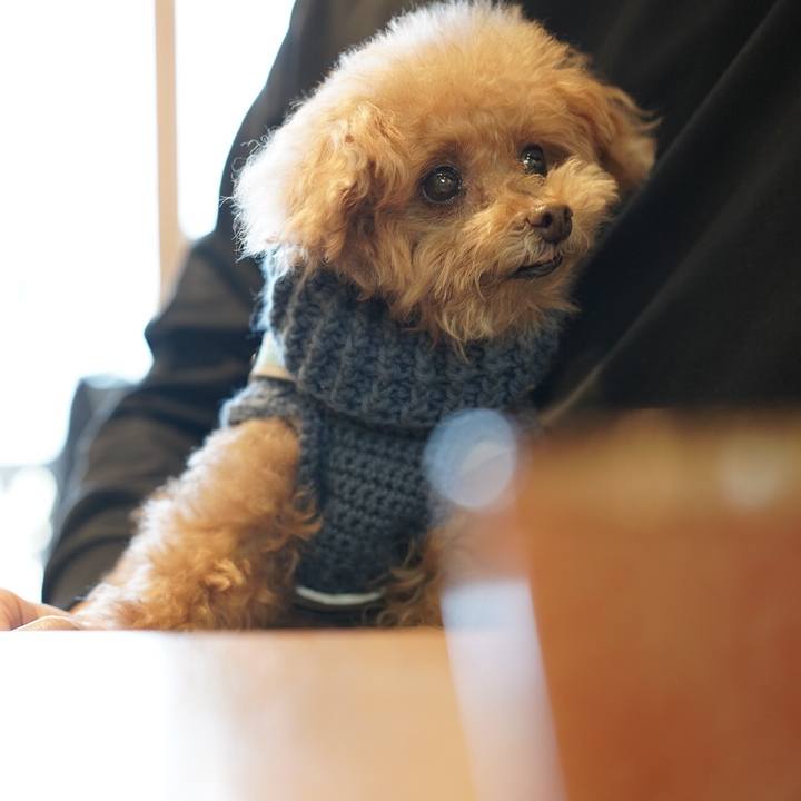 2efca791 6297 4370 8e2a afd45a1e599a 1697114151085