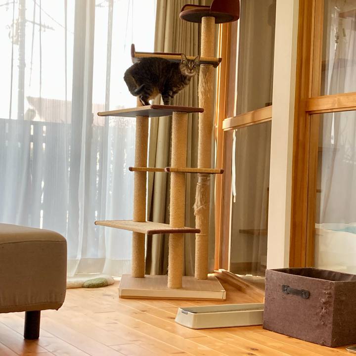 2efcb43e d3a9 4bd9 8e51 c9d02bc6986d 1675213885441