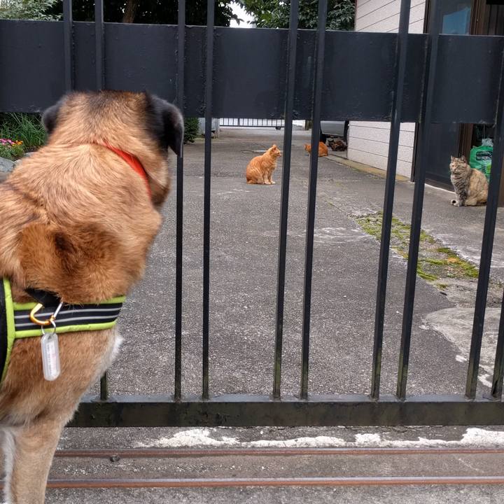 2efcb7a2 733d 4e79 a488 4fbdf6818ae0 1688430662235