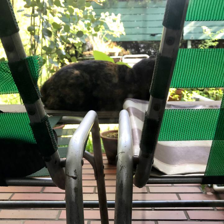 2efce161 0cfc 42c1 8957 a6b7cc6f872d 1524713057005