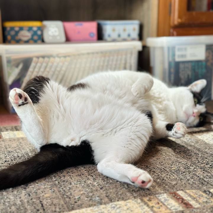 2efcf809 c251 441b 80ef 83fbd8fb5a51 1712884818495