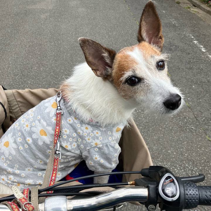 2efcfdb6 b4b3 4d5d 8395 e4d53e8a897f 1685234852462