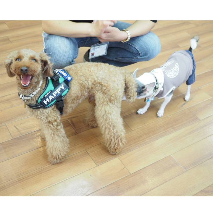 2efd0bf6 2bc7 42d2 adf2 8433e5637956 1540321246102