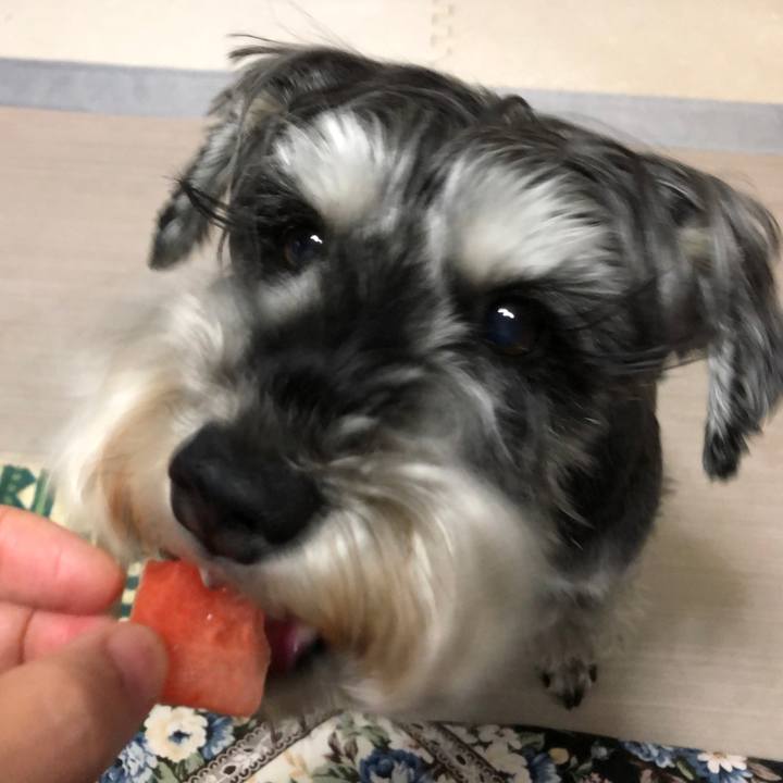 2efd1ec2 ea07 4691 8d91 5930fb903166 1652881077274