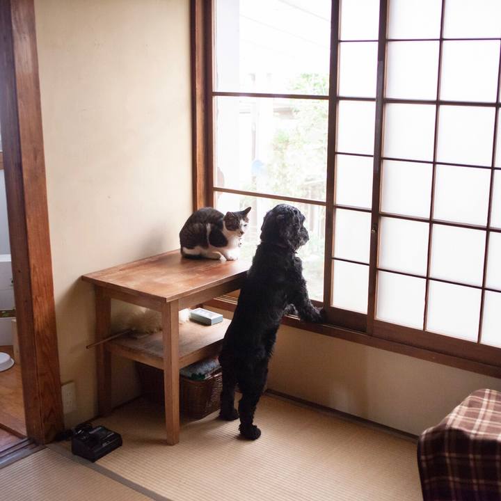 2efd378d c2c5 479e 8569 9c8a5a00c7b1 1589886708692