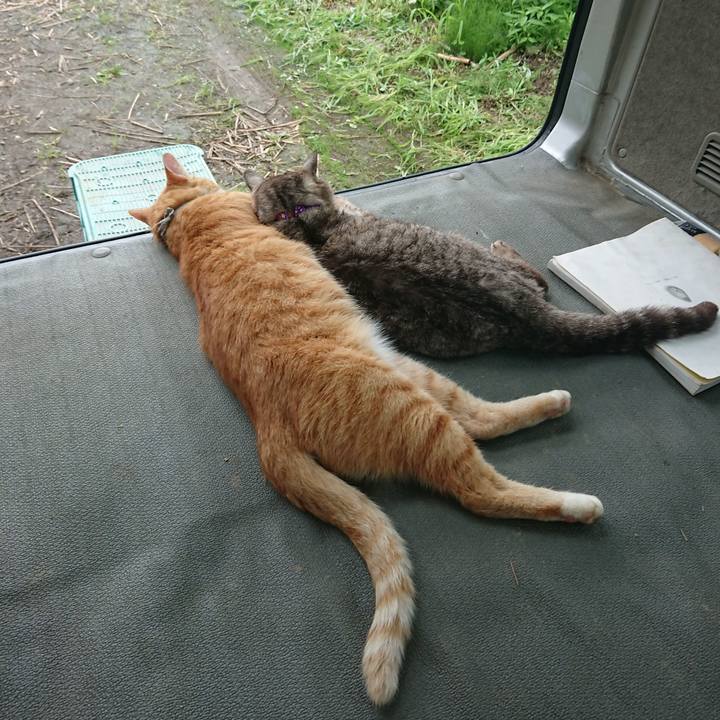 2efd8bb3 c8f2 40c8 9bb0 05457852ad34 1595744023109