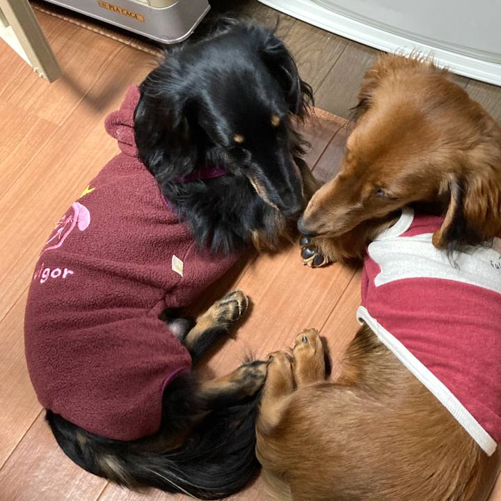 2efdd1da d4e0 4743 824f 21942fa34928 1705730358459