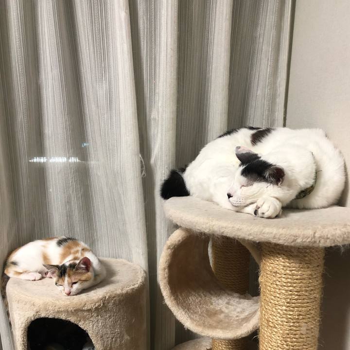 2efdd664 bcbe 4878 a8c4 555ec6e35fe7 1563203373298