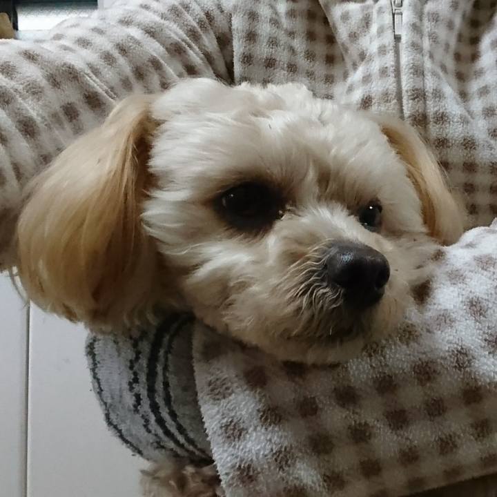 2efe035c 678d 431e b422 1ce1079bfb5d 1521334848286